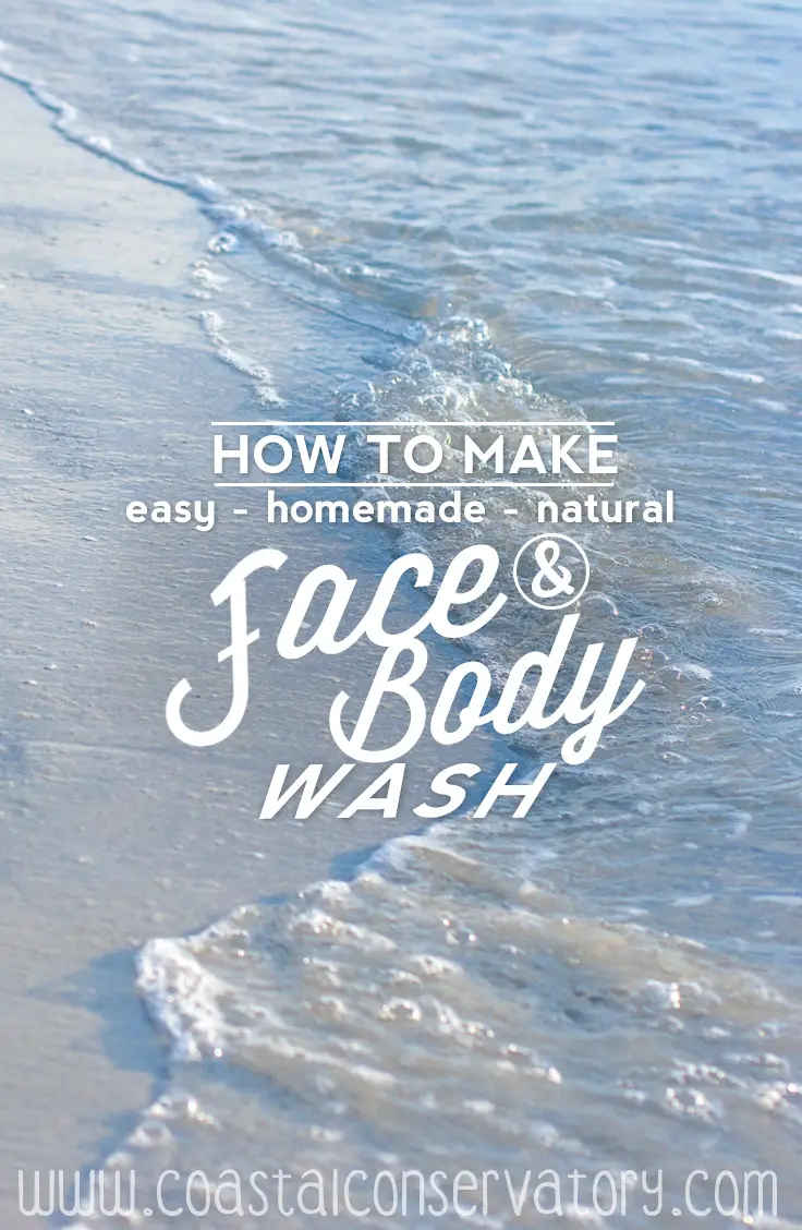 homemade face body wash