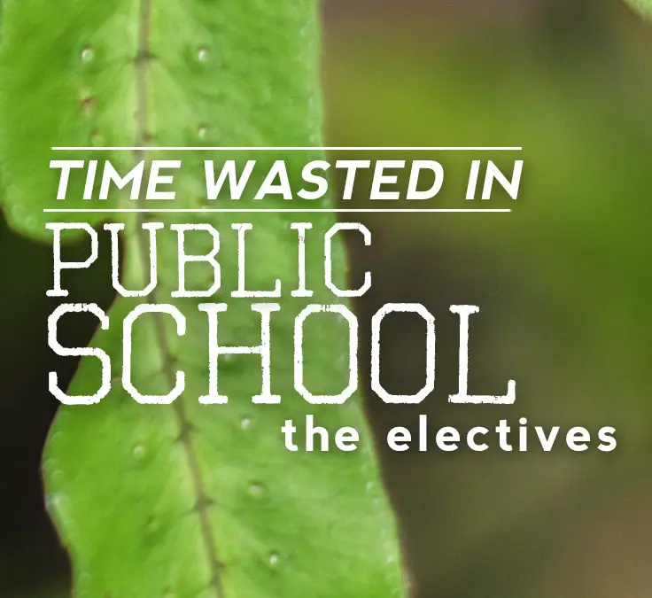 Time Wasted In School: The Electives