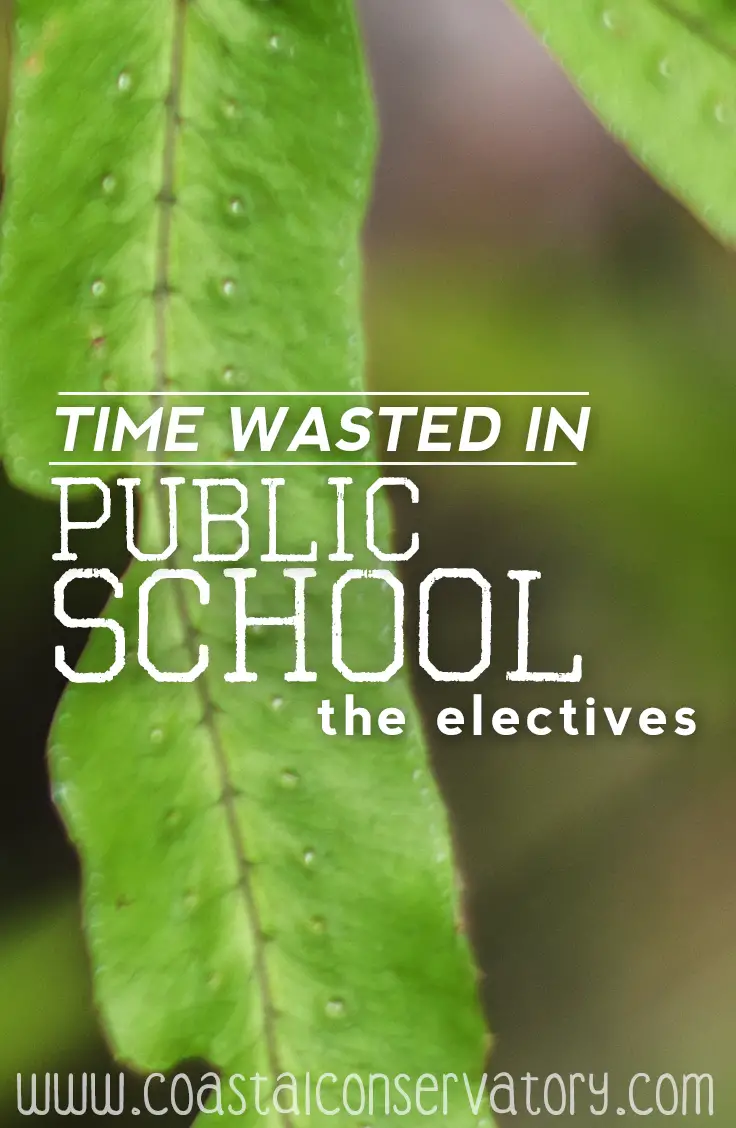 time wasted in schools electives