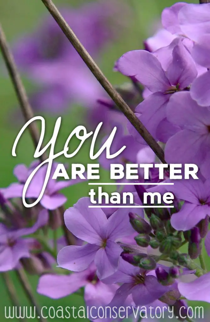 you_are_better_than_me