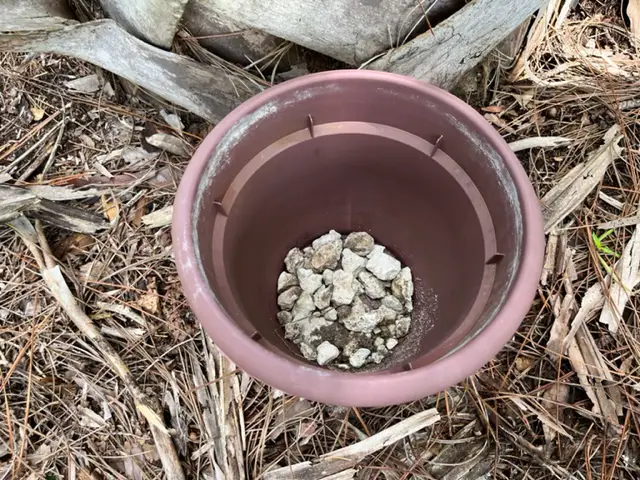 rocks in bottom of pot