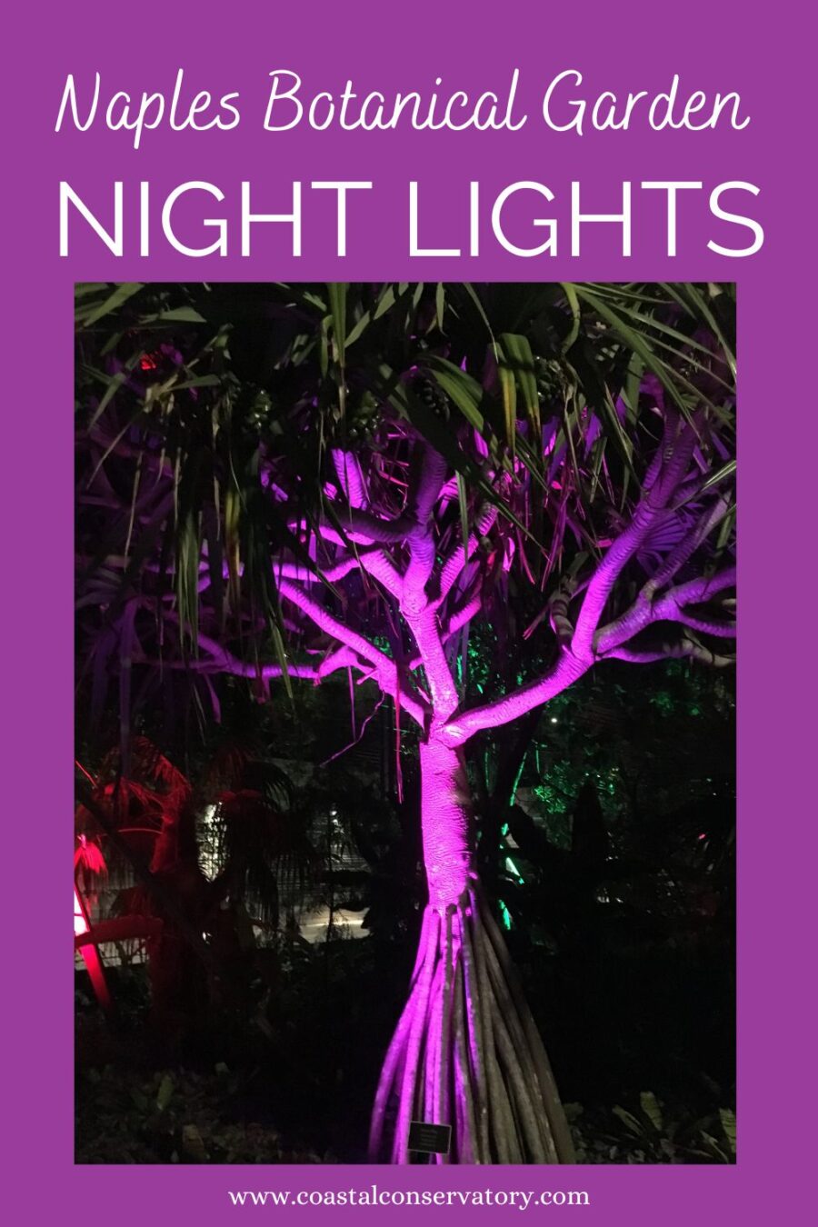 Naples botanical garden night lights