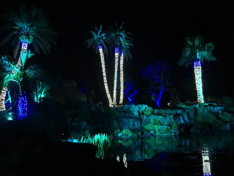 naples botanical garden night lights