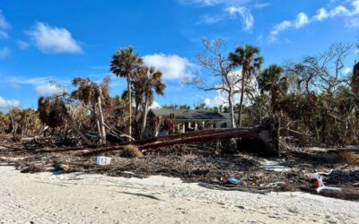 How is Delnor-Wiggins Pass State Park Naples after Hurricane Ian?
