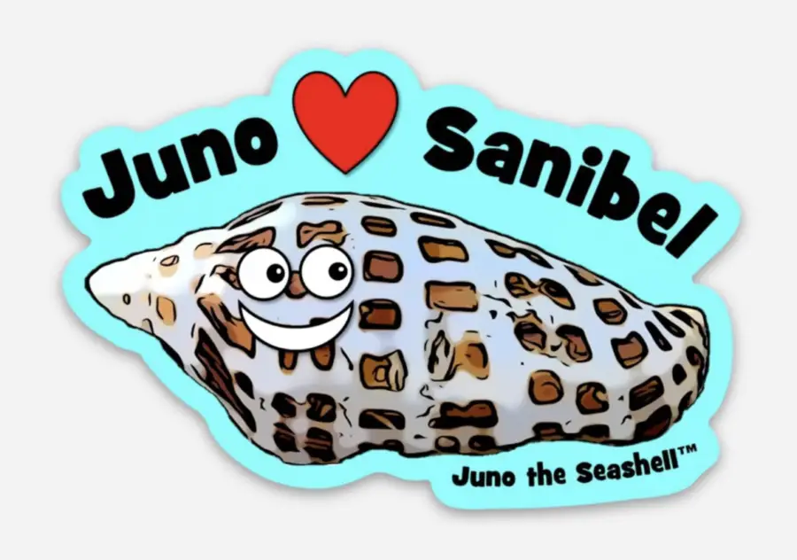 Juno junonia shell sanibel sticker
