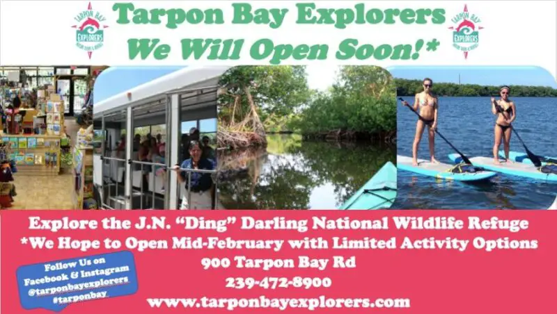 Tarpon bay explorers ding darling open after Ian